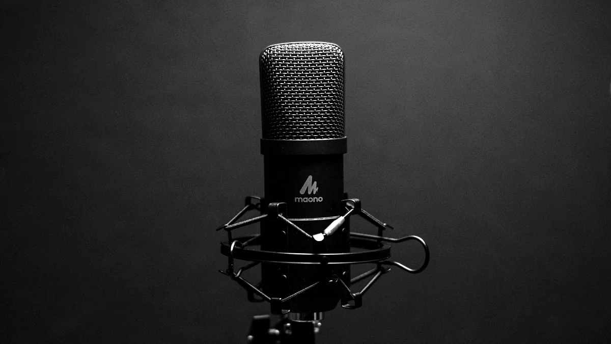 Condenser microphone in a shock mount against a dark studio background.